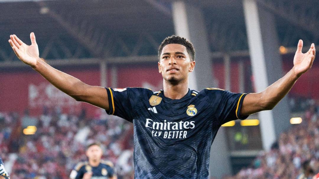 在黑豹获得 在黑豹获得